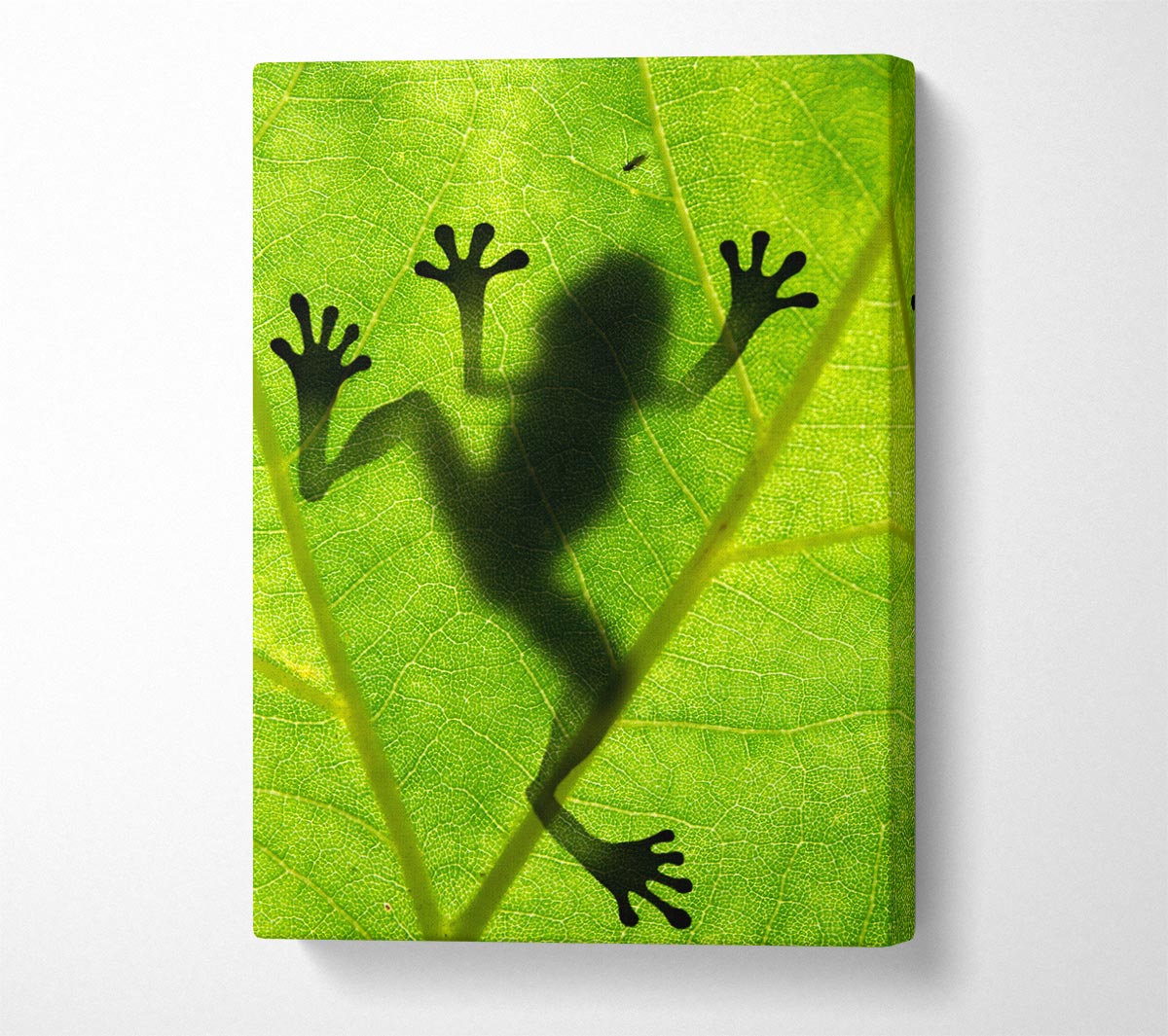 Frog Shadow Canvas Wall Art