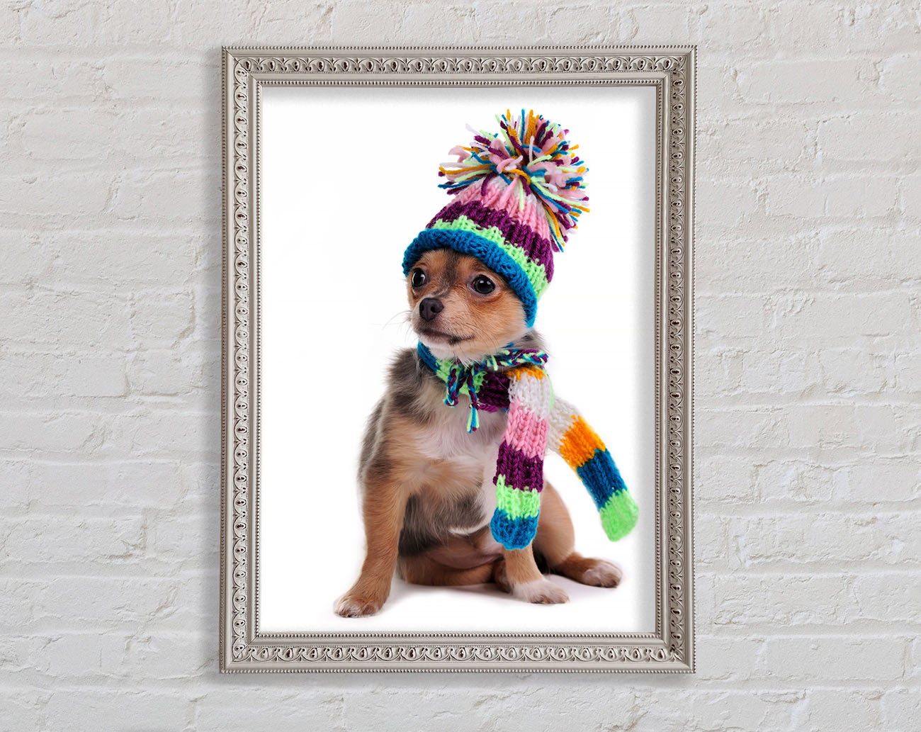 Chihuahua Dog Dressed For Winter Framed Wall Art