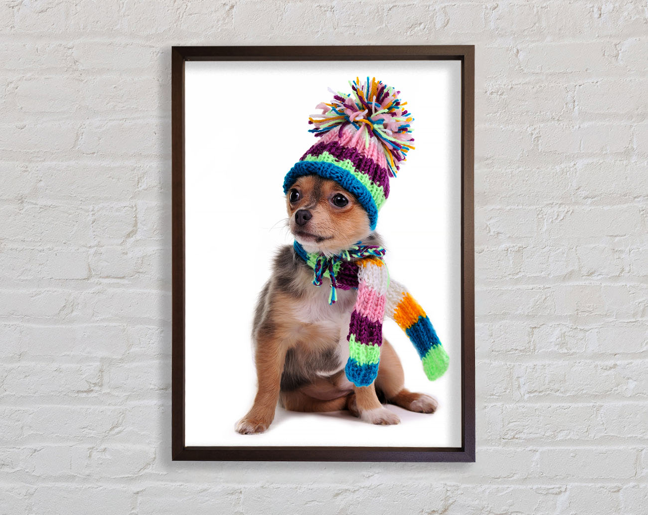 Chihuahua Dog Dressed For Winter Framed Wall Art
