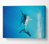 Shark Smile Canvas Wall Art