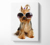 Yorkshire Terrier Dog Glamour Canvas Wall Art
