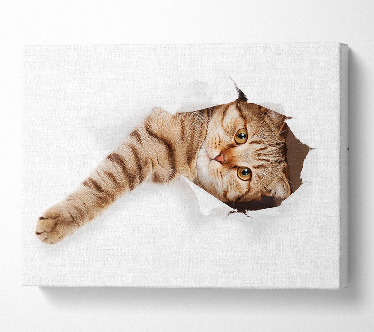 Cat Attack Canvas Wall Art