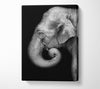 Elephant Face Canvas Wall Art