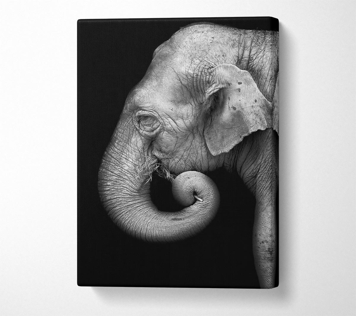 Elephant Face Canvas Wall Art