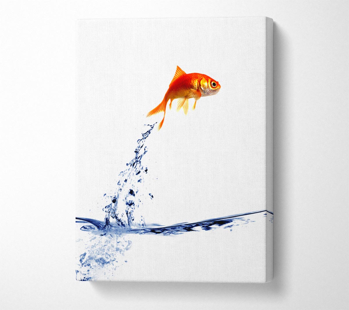 Jumping Goldfish Canvas Wall Art