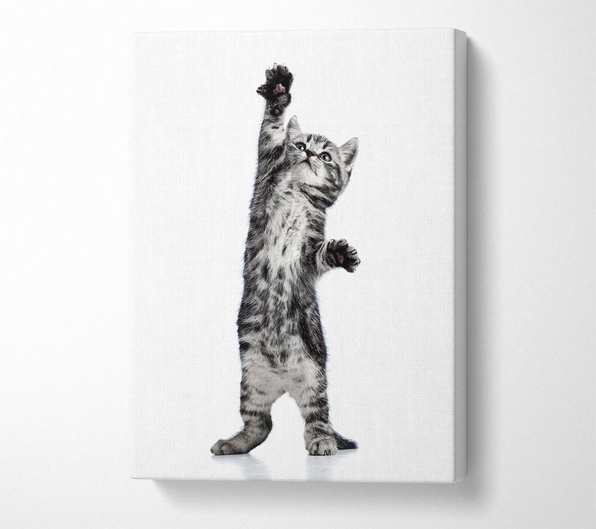 High Five Cat Canvas Wall Art