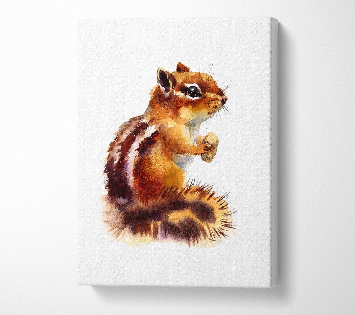 Squirrel Nuts Canvas Wall Art