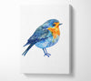 Robin Canvas Wall Art
