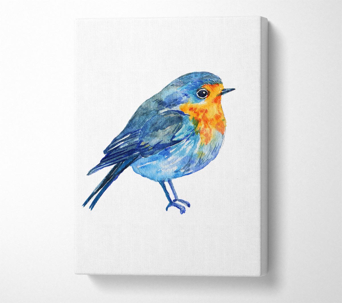 Robin Canvas Wall Art