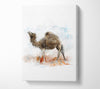 Camel Trek Canvas Wall Art