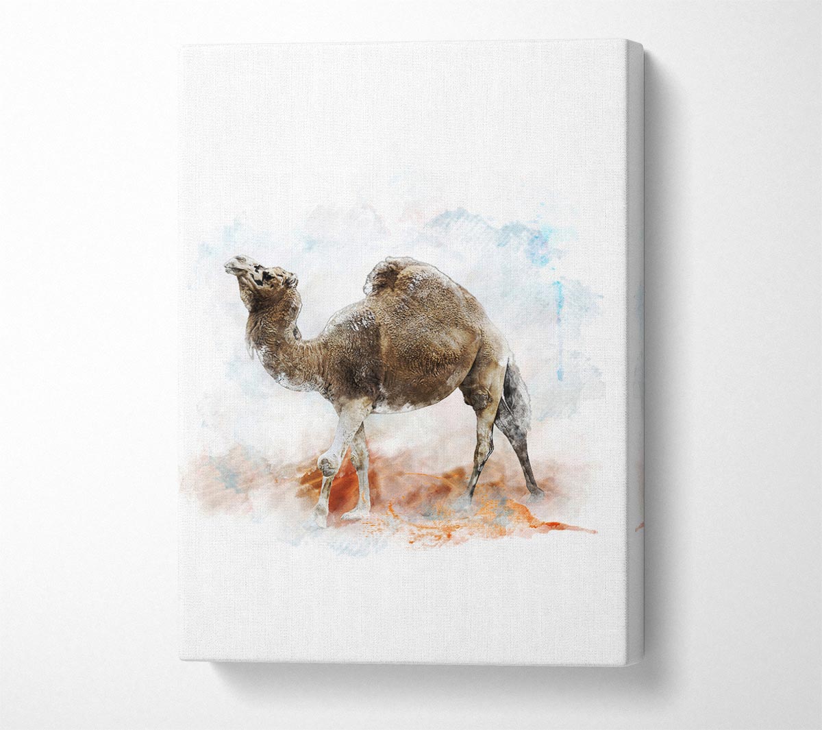 Camel Trek Canvas Wall Art