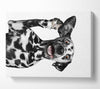 Dalmation Dog High Five Canvas Wall Art