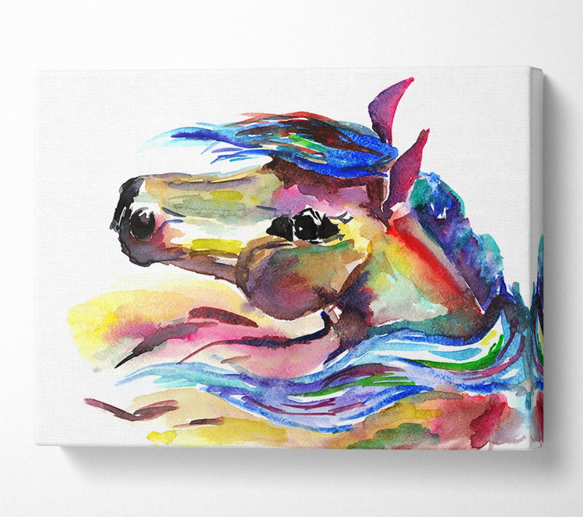 Unicorn Horse Canvas Wall Art