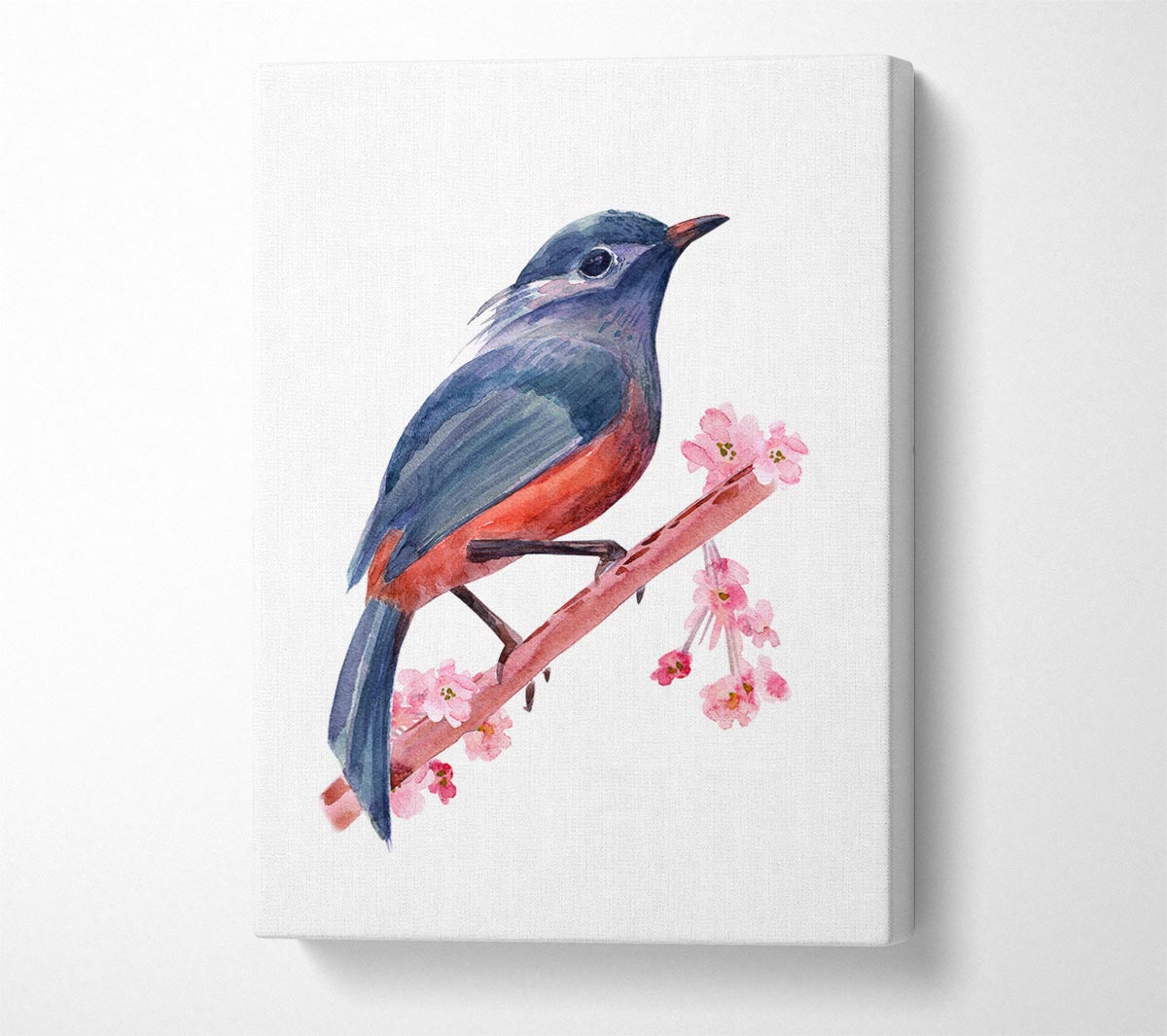 Chaffinch Bird Cherry Blossom Canvas Wall Art