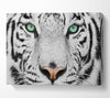 Green Eyed White Tiger Canvas Wall Art