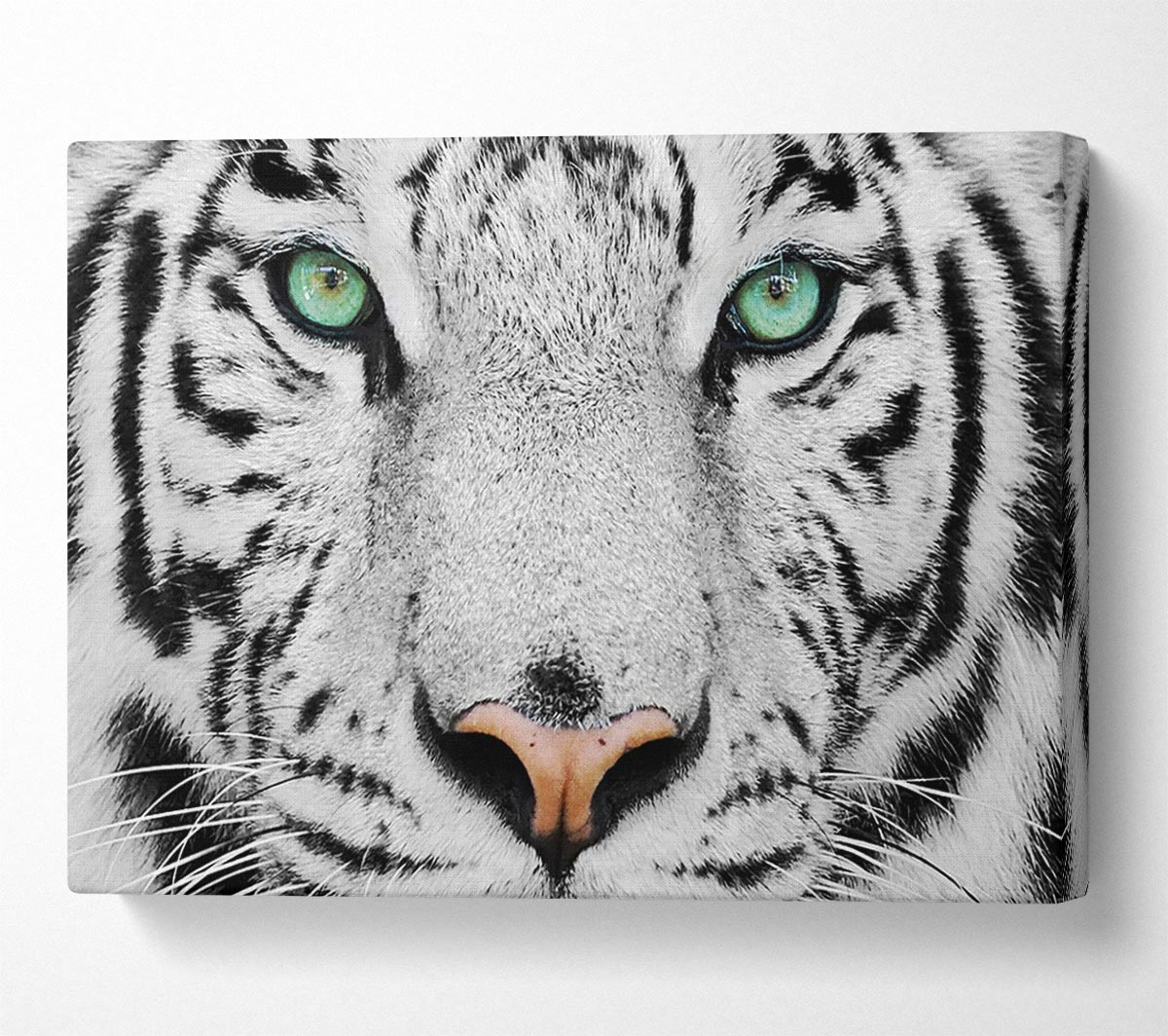 Green Eyed White Tiger Canvas Wall Art