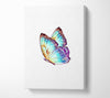 Stunning Butterfly Wings Canvas Wall Art