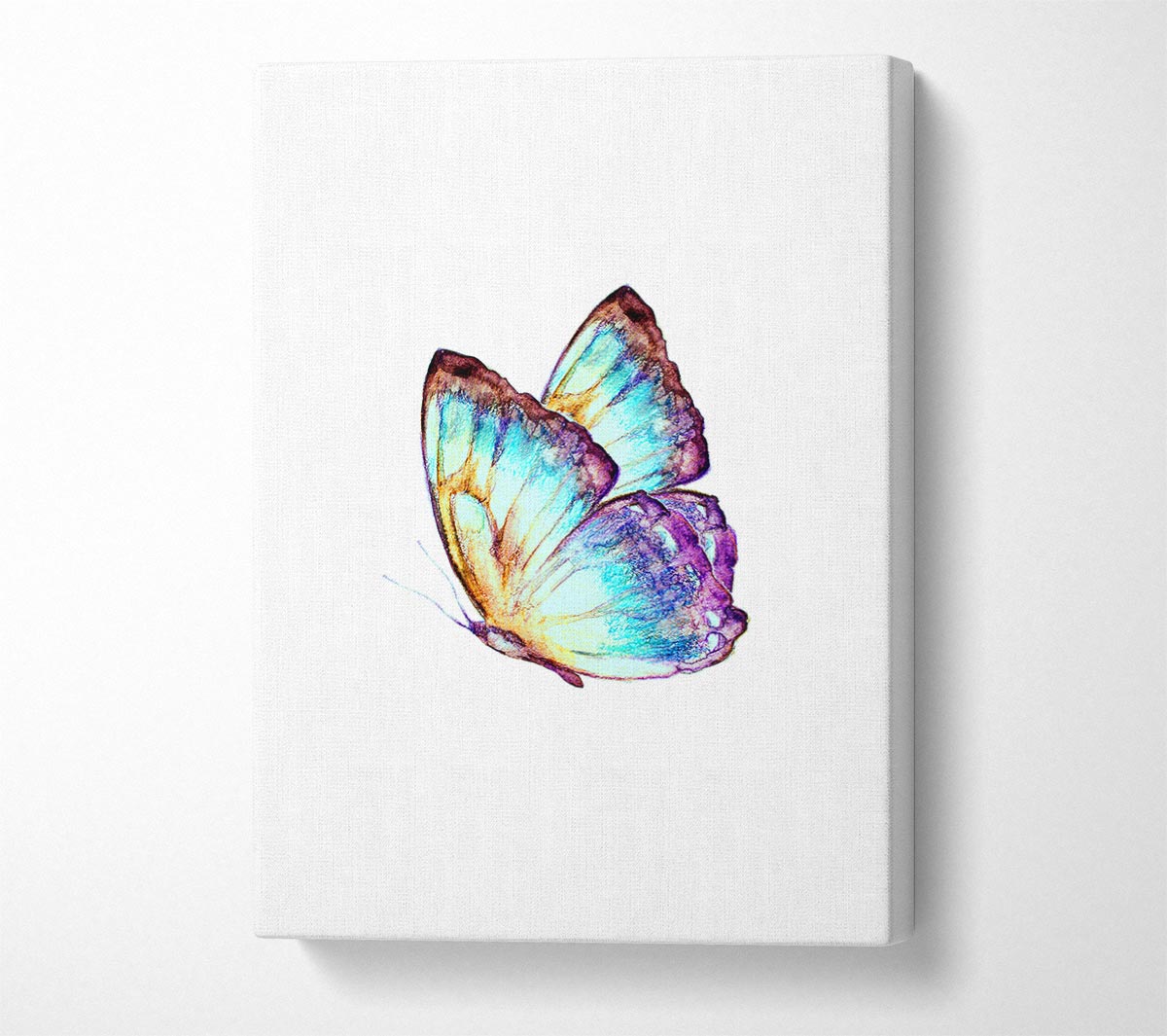 Stunning Butterfly Wings Canvas Wall Art