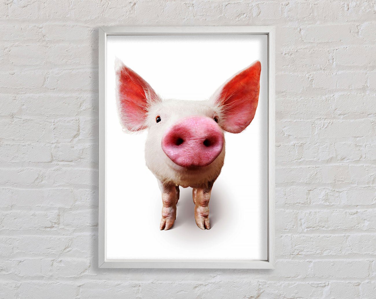 Curious Pig Framed Wall Art