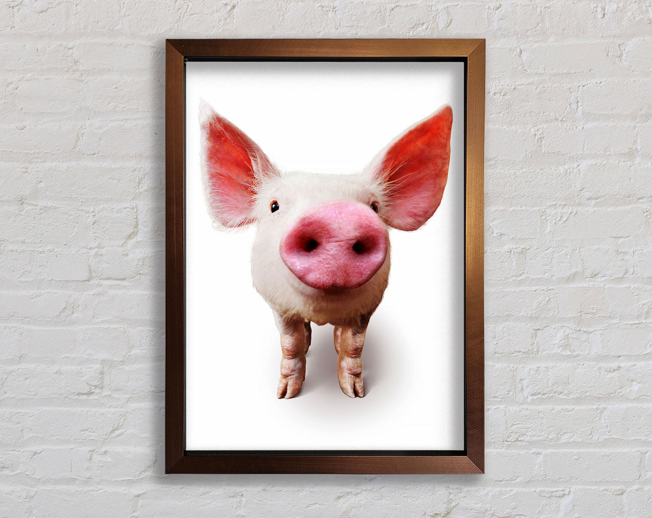 Curious Pig Framed Wall Art