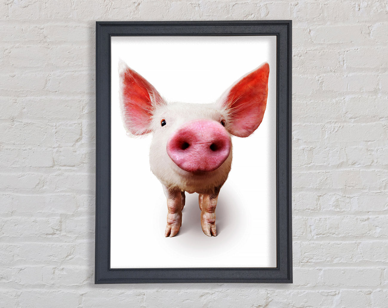 Curious Pig Framed Wall Art