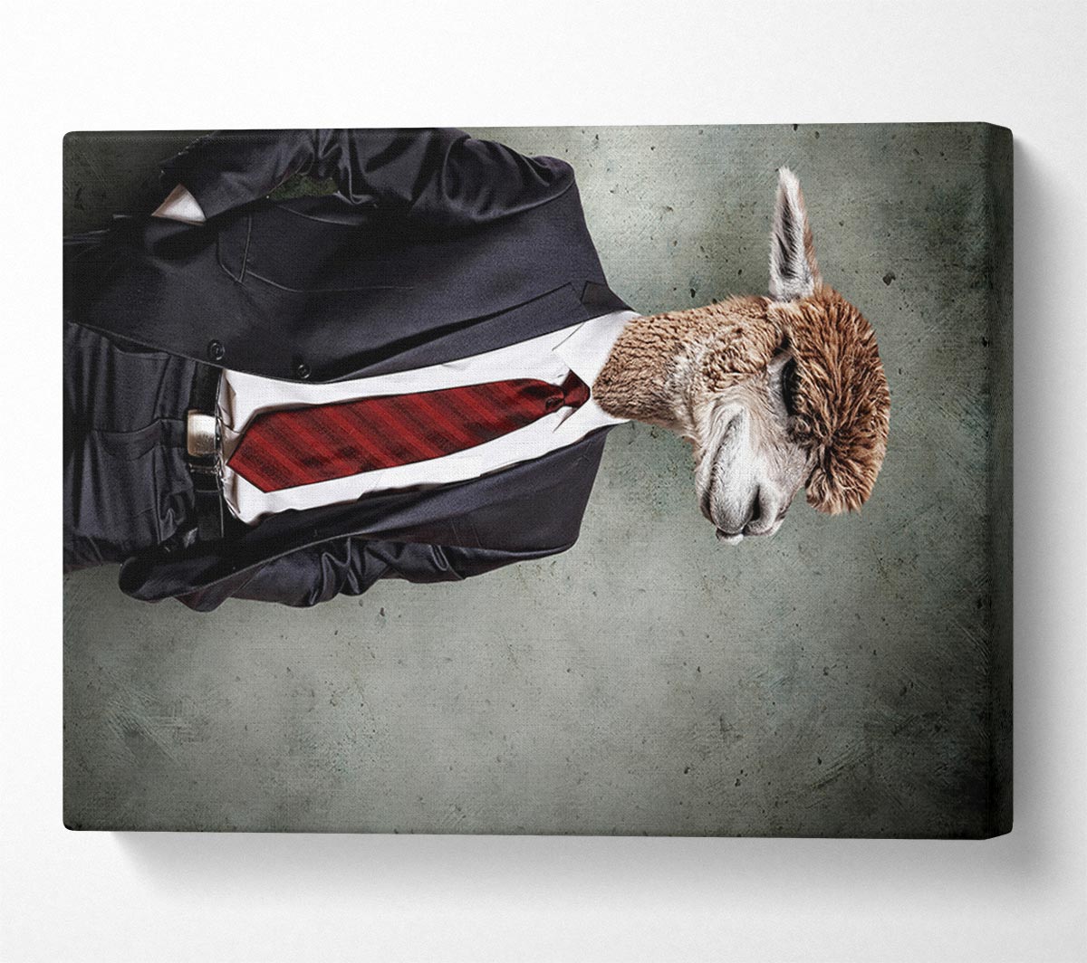 Business Llama Canvas Wall Art