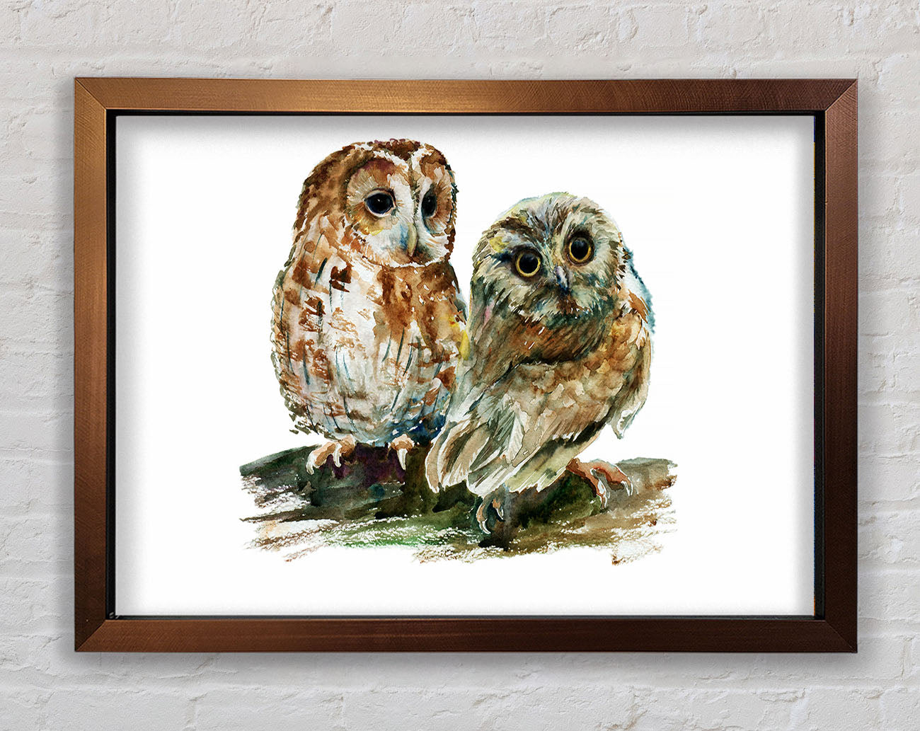 Barred Owl Duo Framed Wall Art