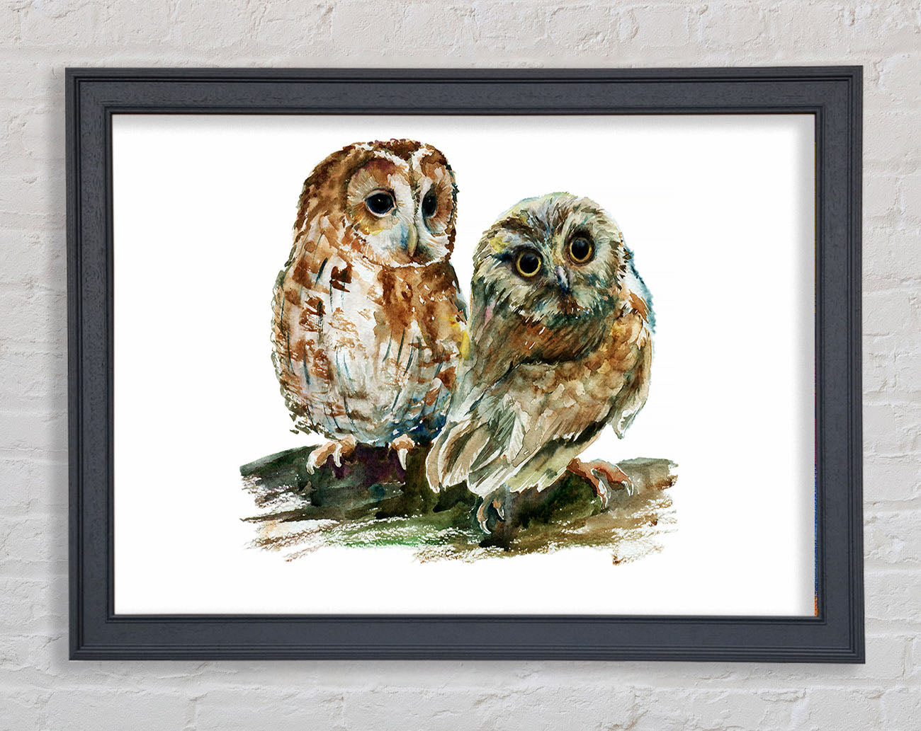 Barred Owl Duo Framed Wall Art