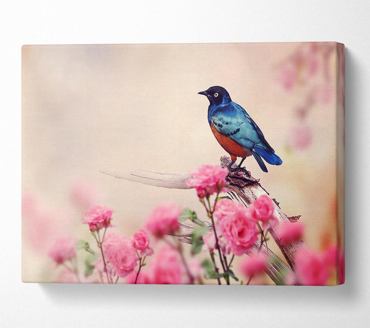 Blue Bird In The Cherry Blossom Canvas Wall Art