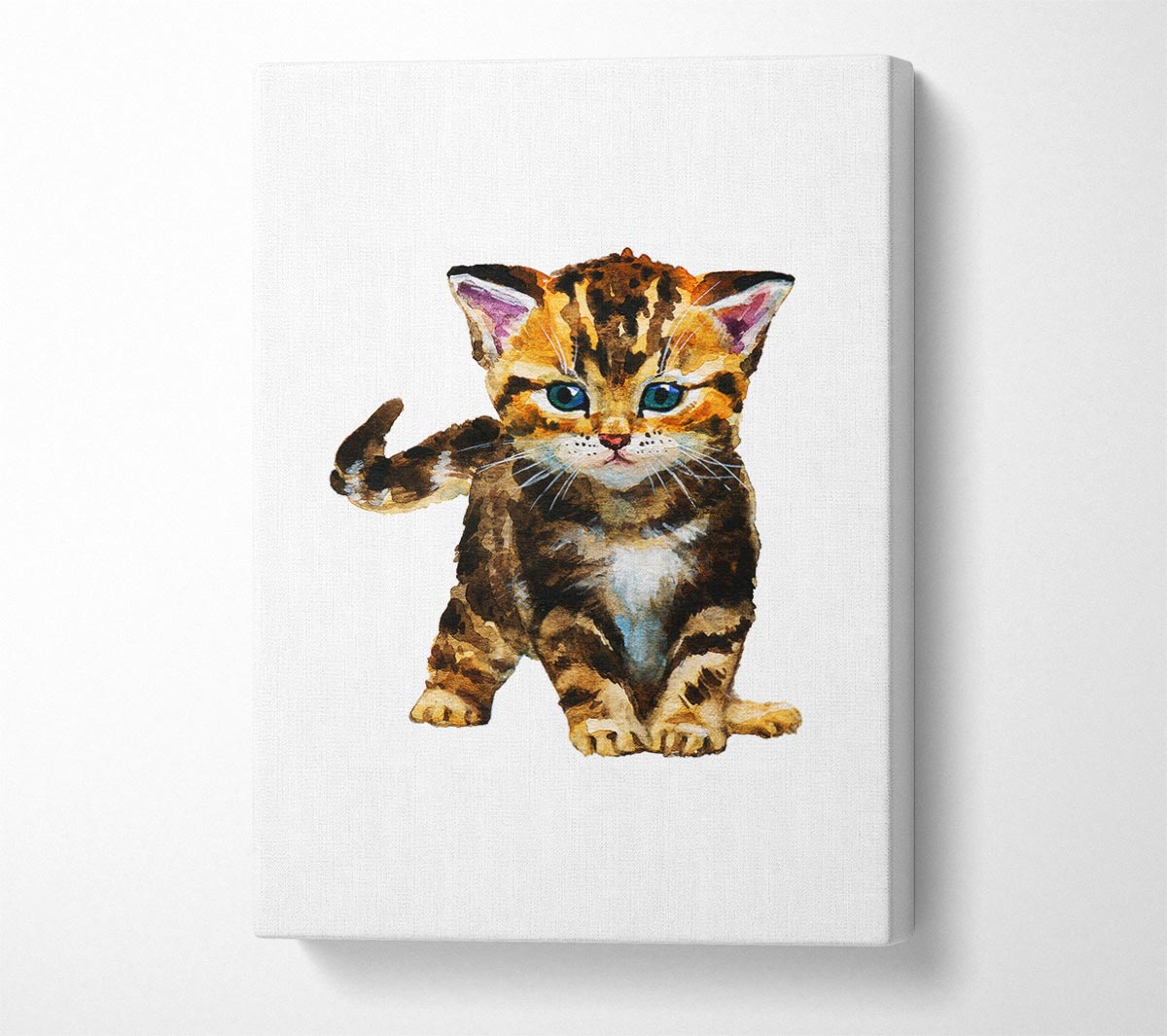 Tabby Kitten Cat Canvas Wall Art