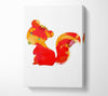 Orange Squirrel Canvas Wall Art