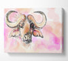 Texas Longhorn Cow Canvas Wall Art
