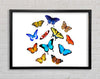 Colourful Butterflies Framed Wall Art