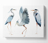 Heron Trio Canvas Wall Art