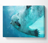 Polar Bear Swim Canvas Wall Art