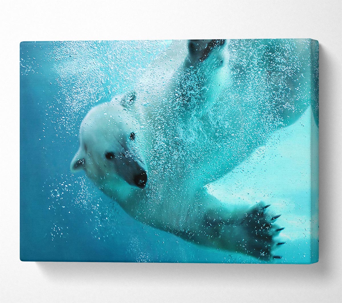 Polar Bear Swim Canvas Wall Art