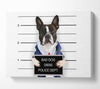 Naughty French Bulldog Canvas Wall Art