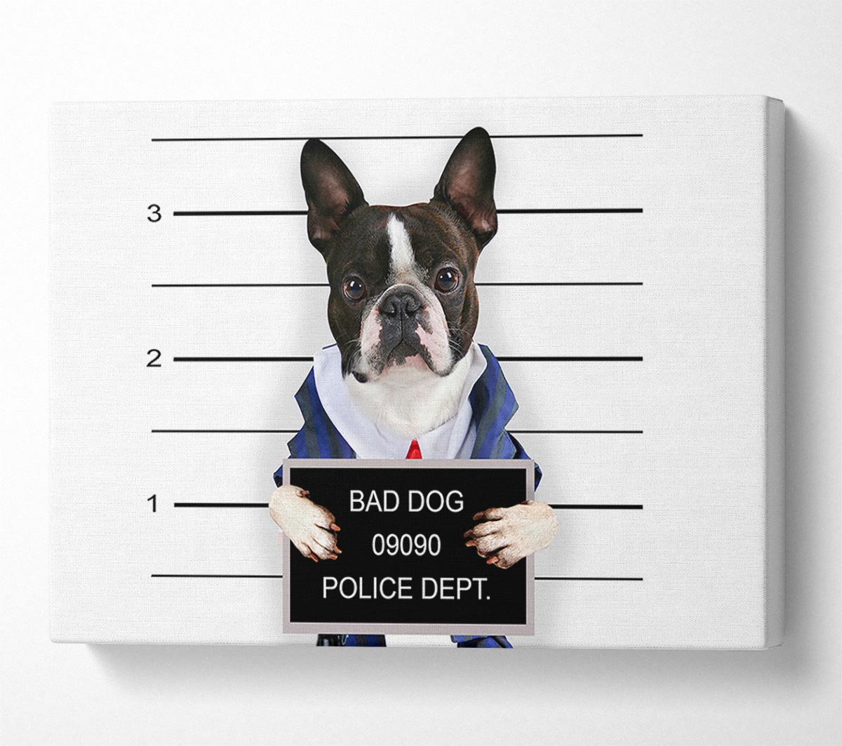Naughty French Bulldog Canvas Wall Art