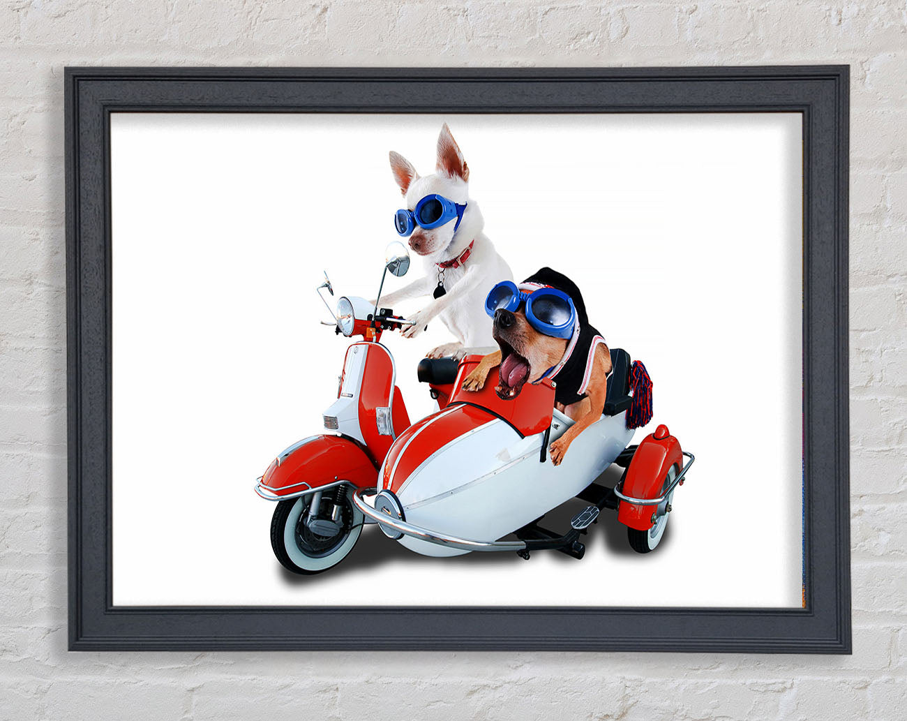 Chihuahua Sidecar Mayhem Dogs Framed Wall Art