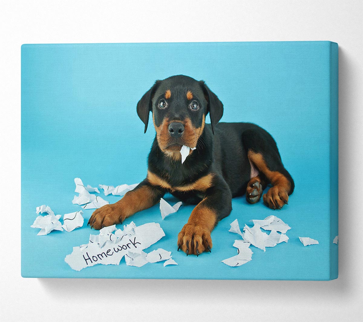 Naughty Rottweiler Puppy Dog Canvas Wall Art