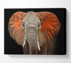 Elephant Ears Canvas Wall Art