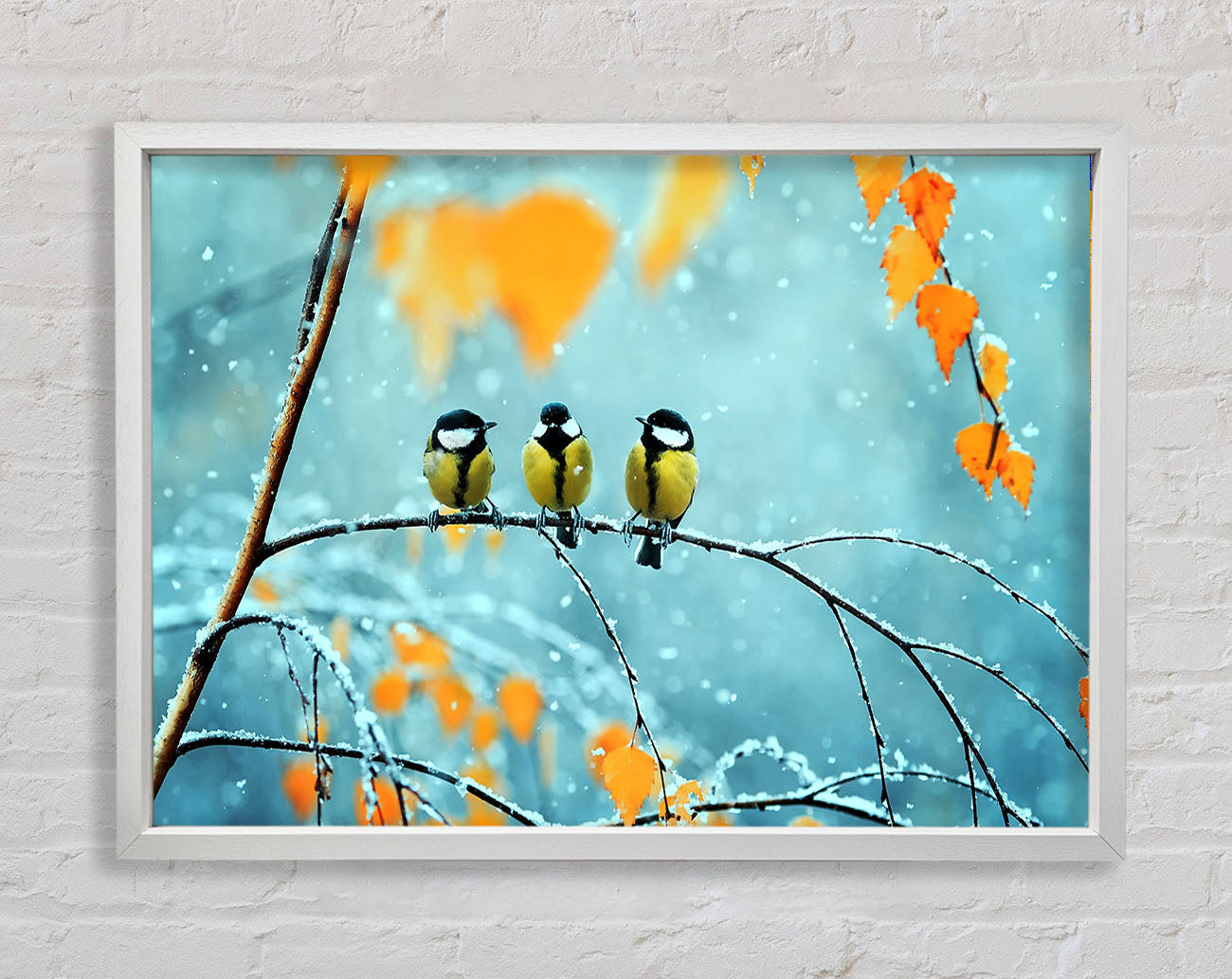 Blue Tit Birds Winter Framed Wall Art
