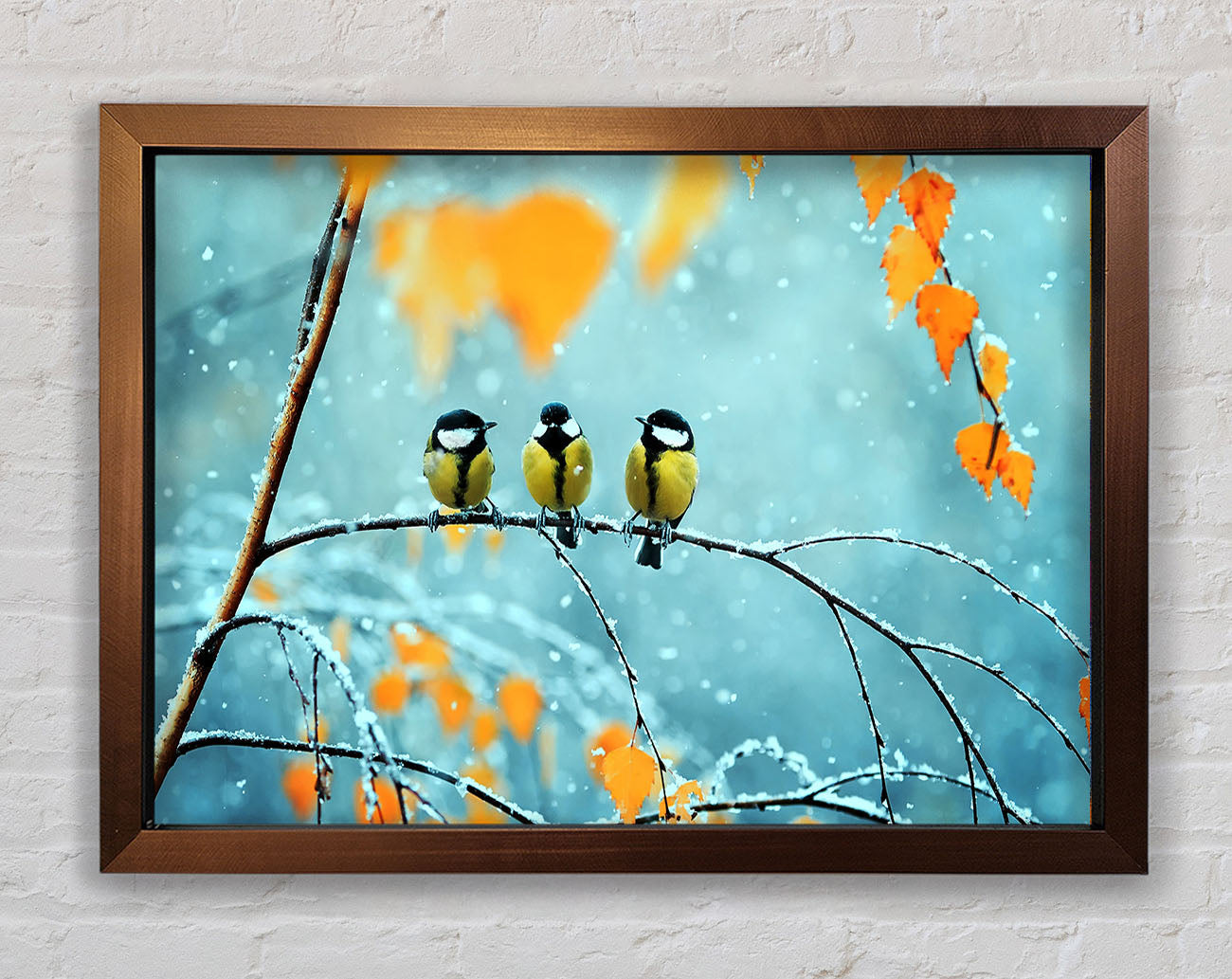 Blue Tit Birds Winter Framed Wall Art
