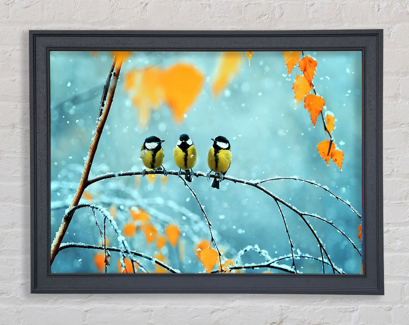 Blue Tit Birds Winter Framed Wall Art