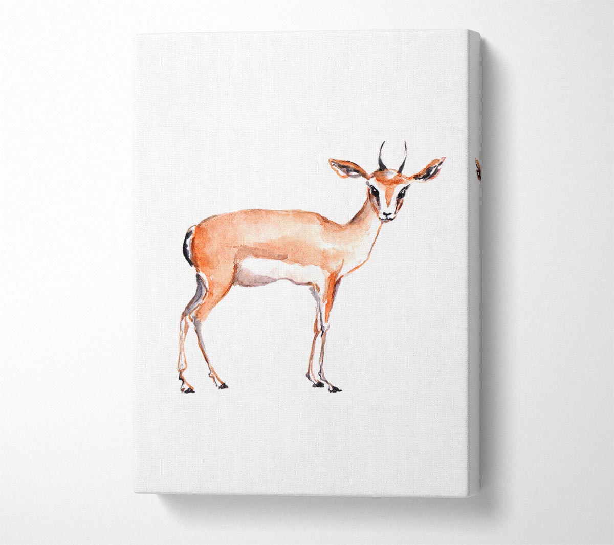 Springbok Canvas Wall Art