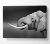 Elephant Drink Canvas Wall Art