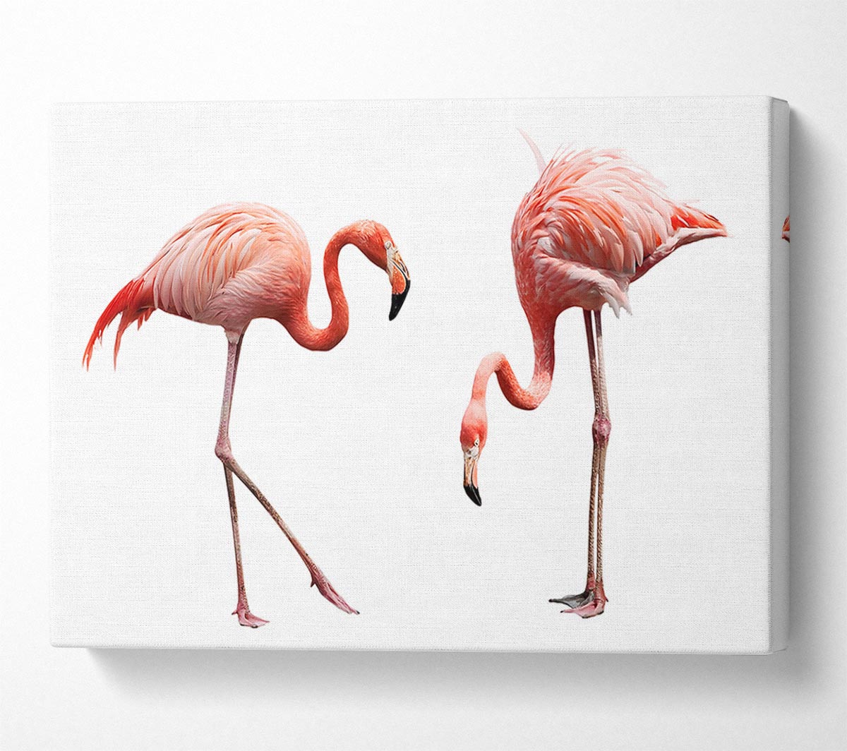 Pink Flamingo Duo Canvas Wall Art