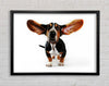 Basset Hound Ears Framed Wall Art
