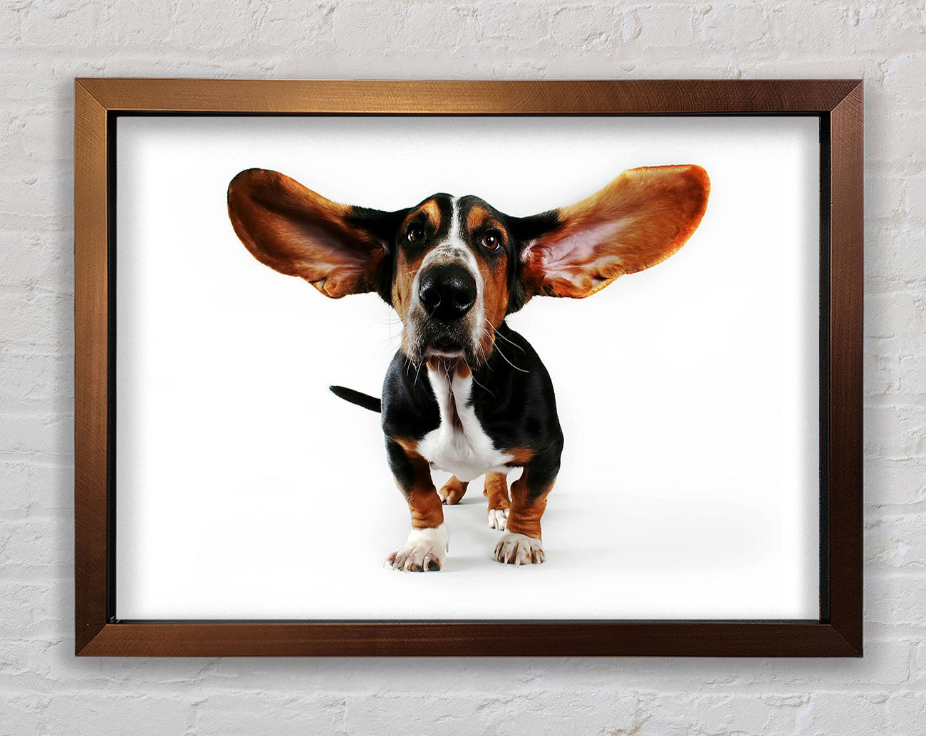 Basset Hound Ears Framed Wall Art