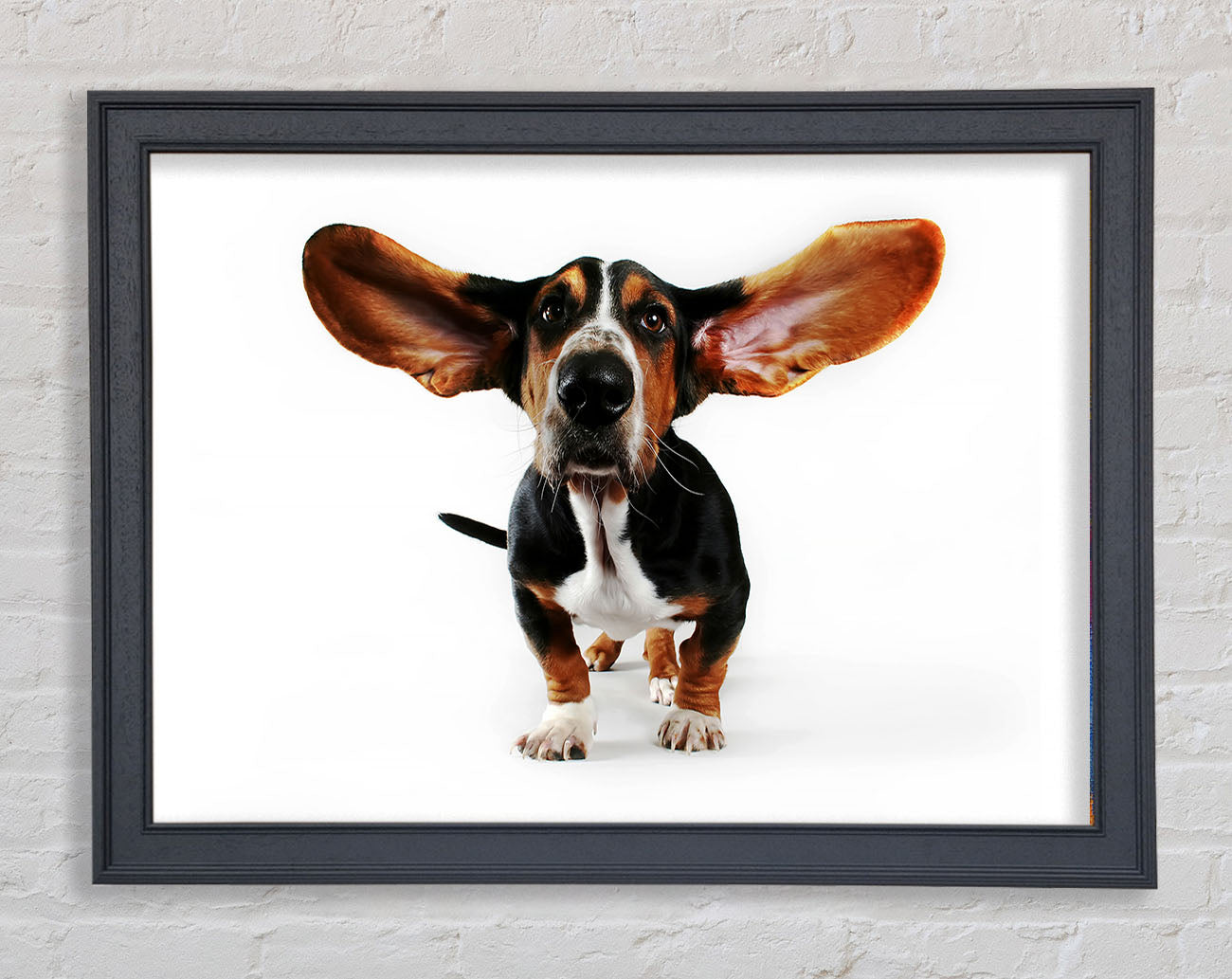 Basset Hound Ears Framed Wall Art